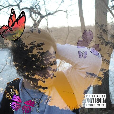 butterfly beautiful