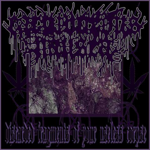 DISCARDED FRAGMENTS OF YOUR USELESS CORPSE