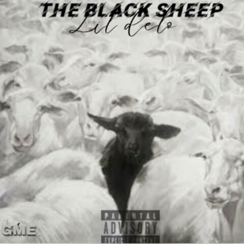 The black sheep