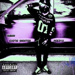 EXØTIC SHOØTERS
