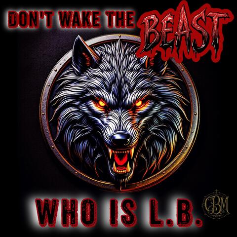 Don't Wake The Beast