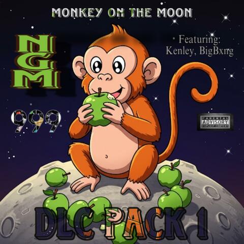 Monkey on the Moon