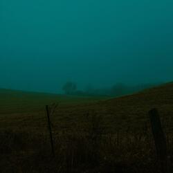 Cold Mist