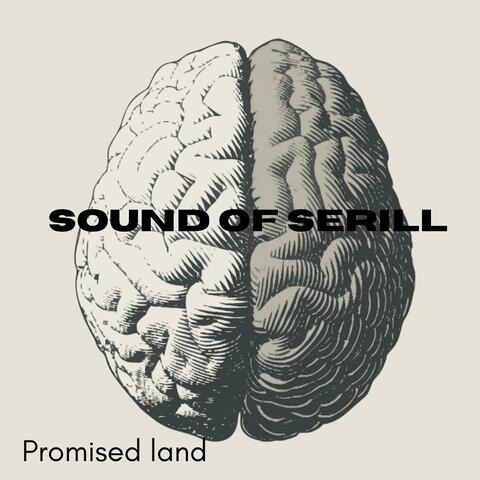 Promised land