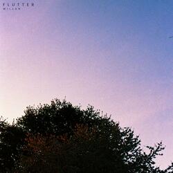 Flutter