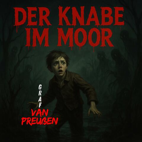 Der Knabe im Moor