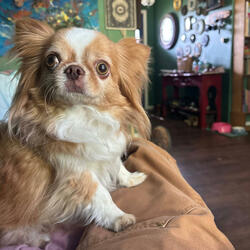 Slydin' (241) 4-30-2025