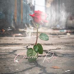 Concrete Rose