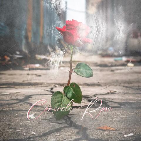 Concrete Rose