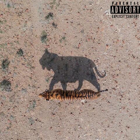 CALM AFTER THE STORM III -EP