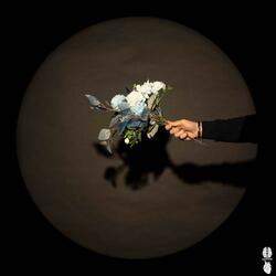 A Chance To Bloom