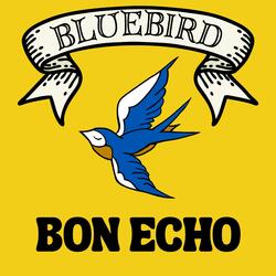 Bluebird