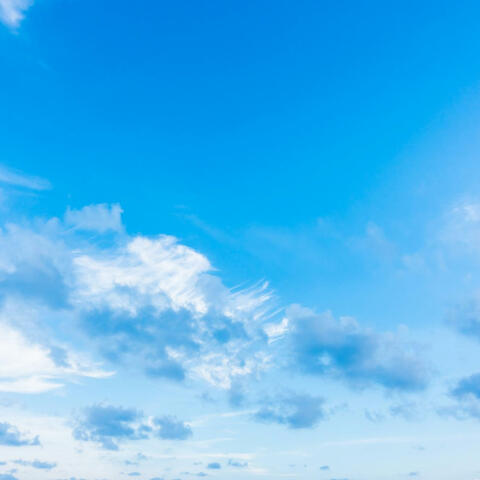 Fly High X / Libertad