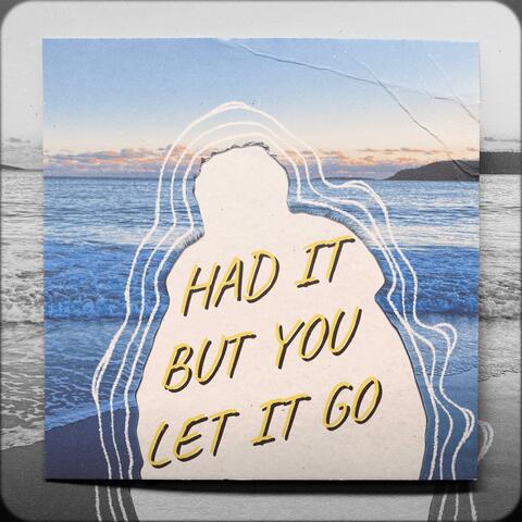 Had It But You Let It Go