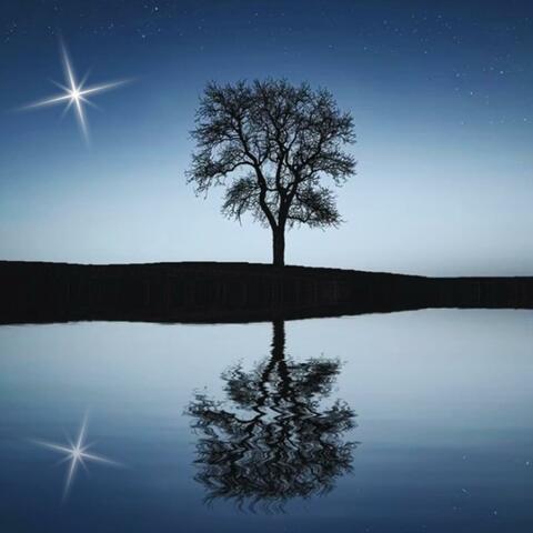 Starchild