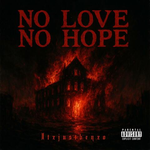 NO LOVE NO HOPE