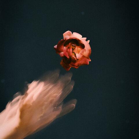 Let Me Go