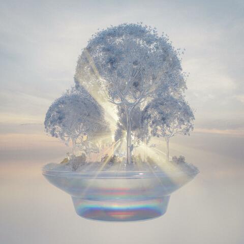 day i. GLASS RAINFOREST