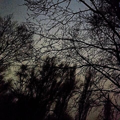 Solstice