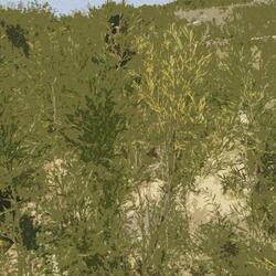 EXP Farming