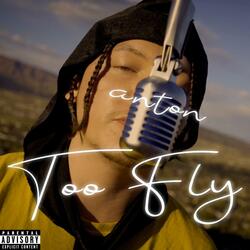 Too Fly