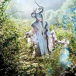 Root of Nightmares