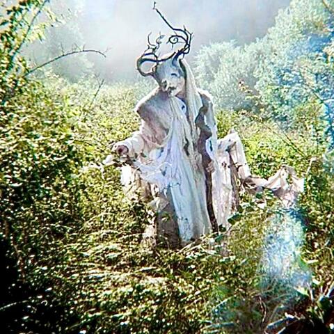 Root of Nightmares