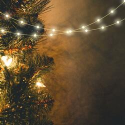 سورة الجاثية