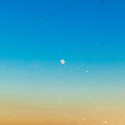 أَوَلَمْ يَرَوْا إِلَىٰ مَا خَلَقَ اللَّهُ مِن شَيْءٍ