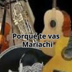 Porque te vas