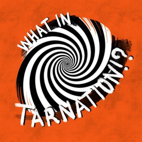 What in Tarnation?
