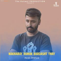 Nakharay Kamak Bardasht Thay (Shina Song) (feat. Sajjad Bagoro)