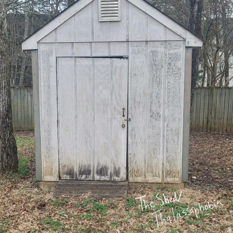 the shed