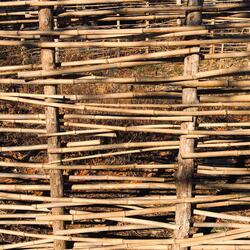 Everything Was Almost