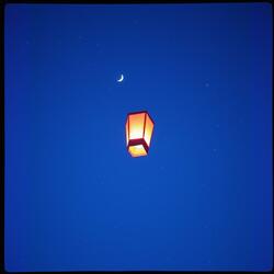 Nhịp tim em như sóng vang xa