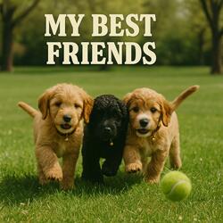 My Best Friends