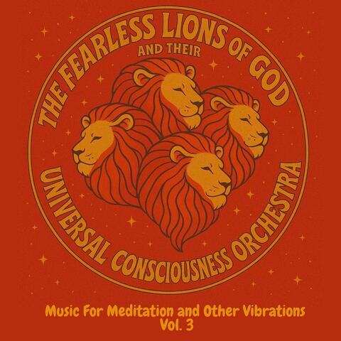 Music For Meditation and Other Vibrations, Vol. 3