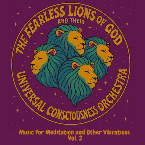 Music For Meditation and Other Vibrations, Vol. 2