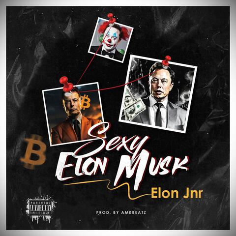 Sexy Elon Musk