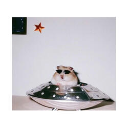 玻璃心碎的聲音