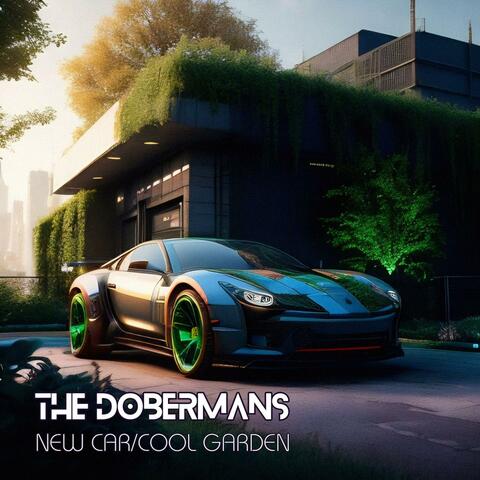 New Car/Cool Garden