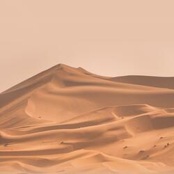 طسم تِلْكَ آيَاتُ الْكِتَابِ الْمُبِينِ