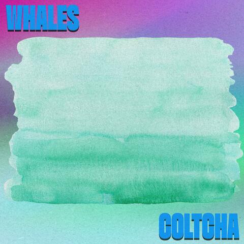 Whales