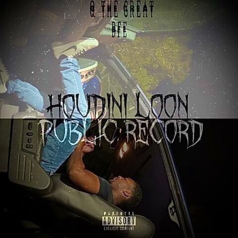 Public Record