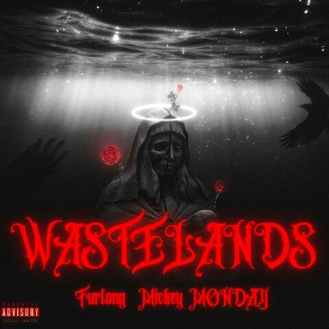 Wastelands (feat. Mickey MONDAY)