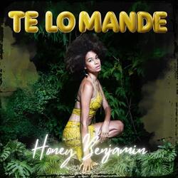 Te lo mande
