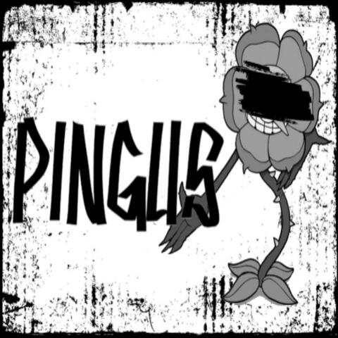PINGUS