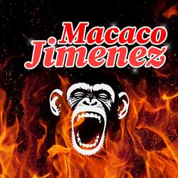 Cuartetinho do Macaco