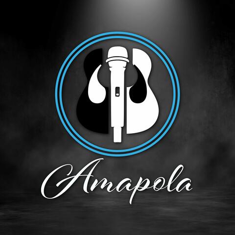 A.L.A.