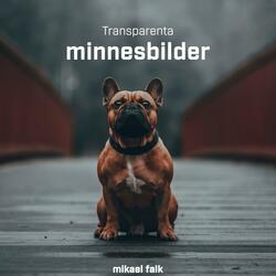 En skugga som försvann (Remix)